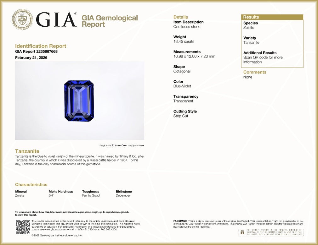 GIA Certified 13.45 ct AAAA Octagon (16.98 x 12.00 mm) Natural D’Block Tanzanite