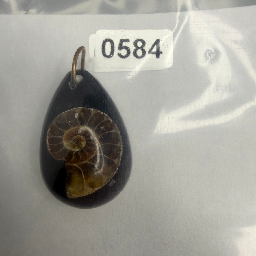 Ammonite Fossil in Clear Resin Teardrop Pendant Suspended
