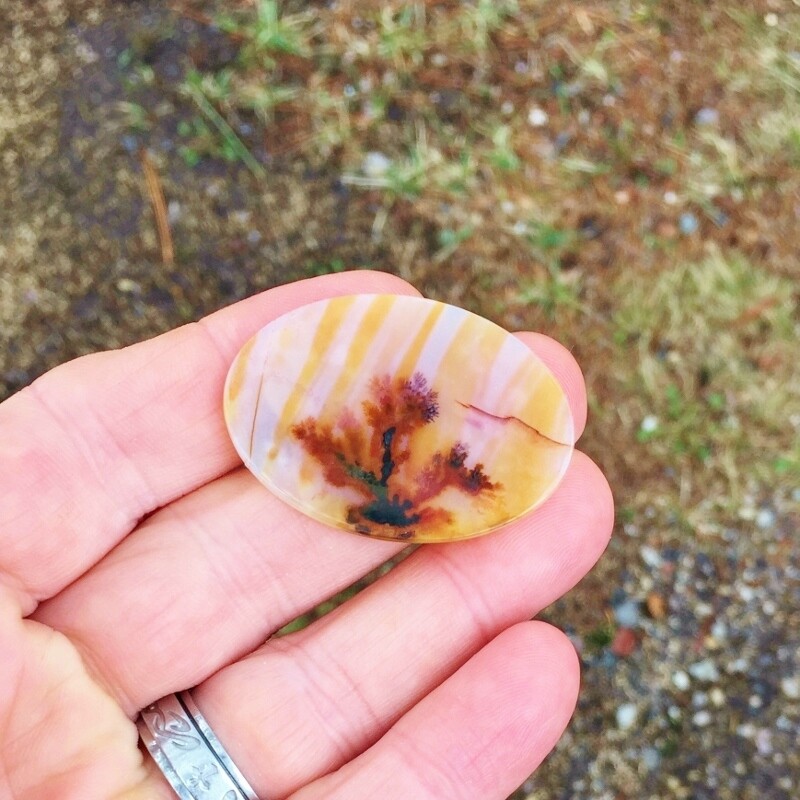 All Natural! Extra Fine Quality Dendritic Agate India GLI