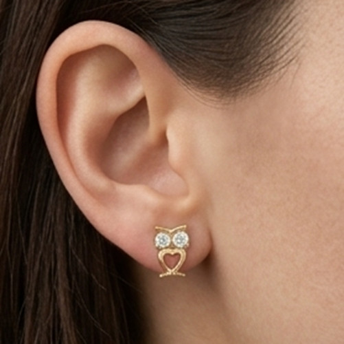 2ct Round Simulated Diamond Wisdom Owl Stud women’s silver Earrings Gold Plated