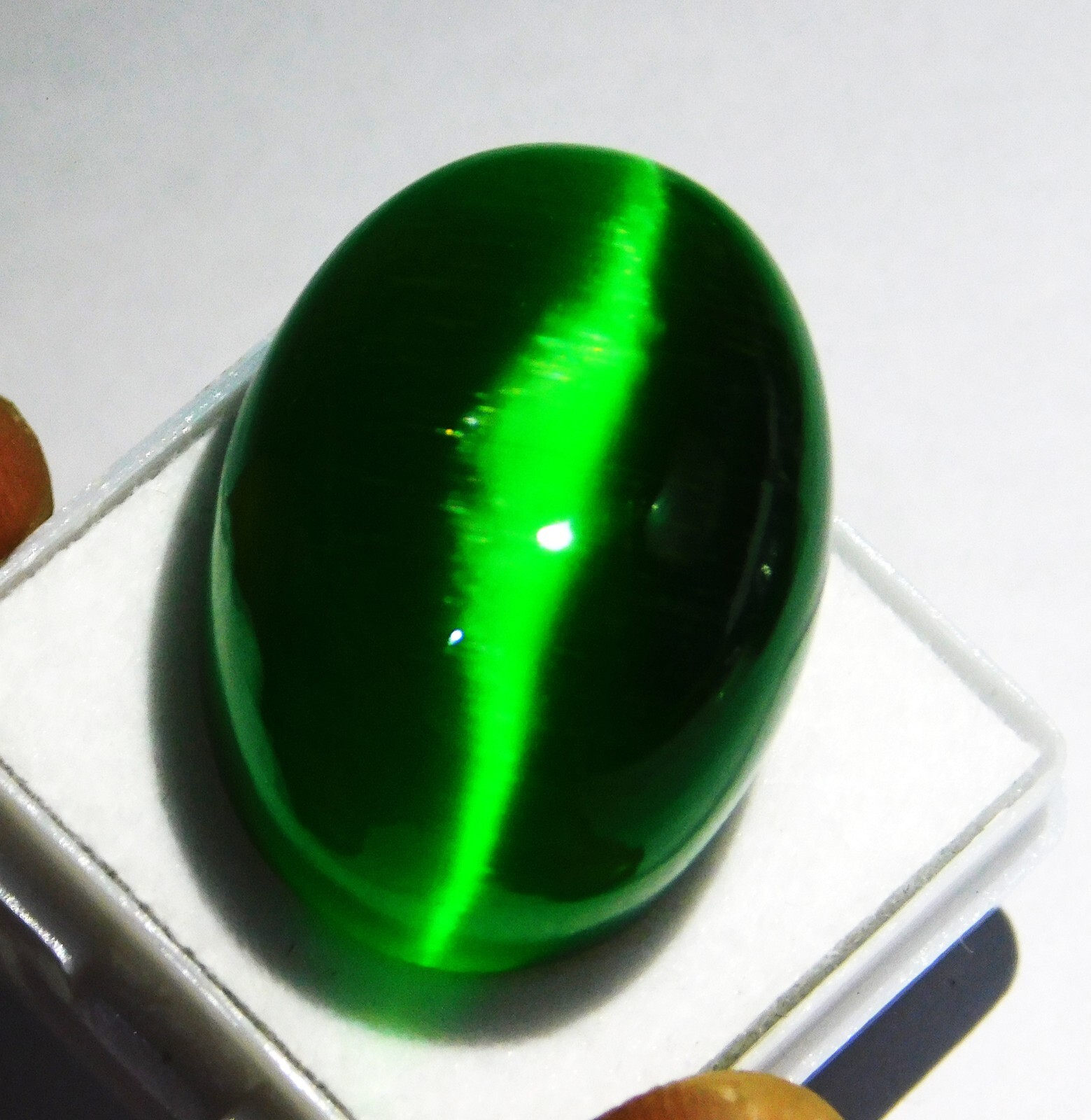 Natural 67.40 Ct Certified Chrysoberyl Green Cat’s Eye Oval Cabochon Loose Gems
