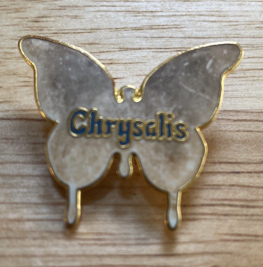 Chrysalis Vintage 80’s Promo Brooch Pin Blondie Music Rock & Pop