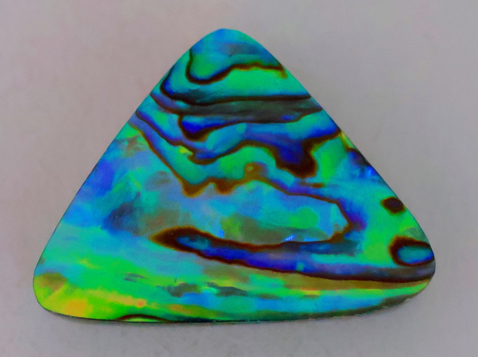 30 Ct 6X21X28 mm Natural Multi Fire Abalone Shell Fancy Cabochon Gemstone KQ-747