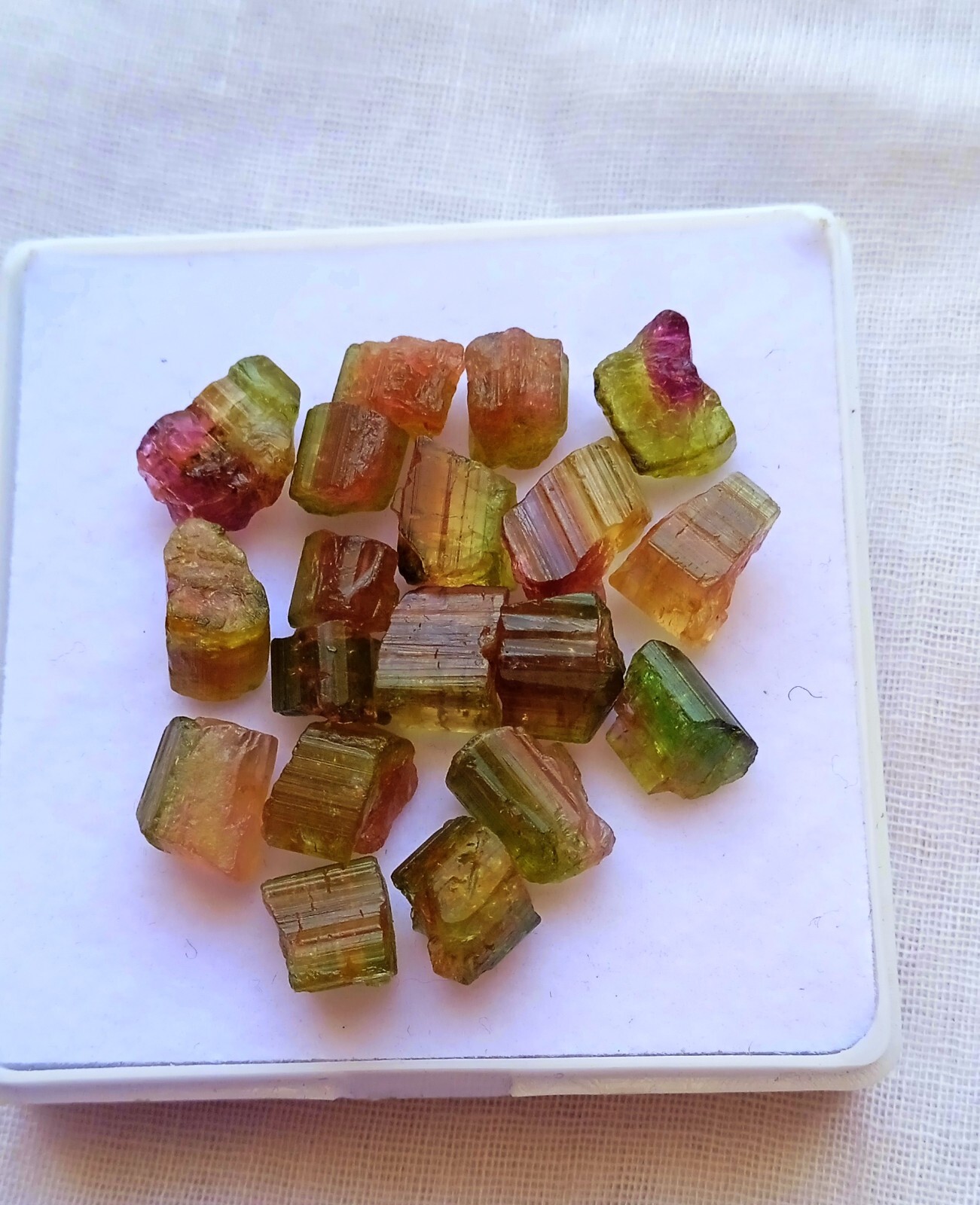 39 Carat Natural Watermelon Bi-Unique Amazing Color Tourmaline Rough 19 Pcs Lot