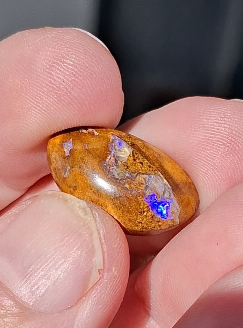 12.5ct Wood replacement Qld boulder opal. Vibrant iridescent blue & purple flash