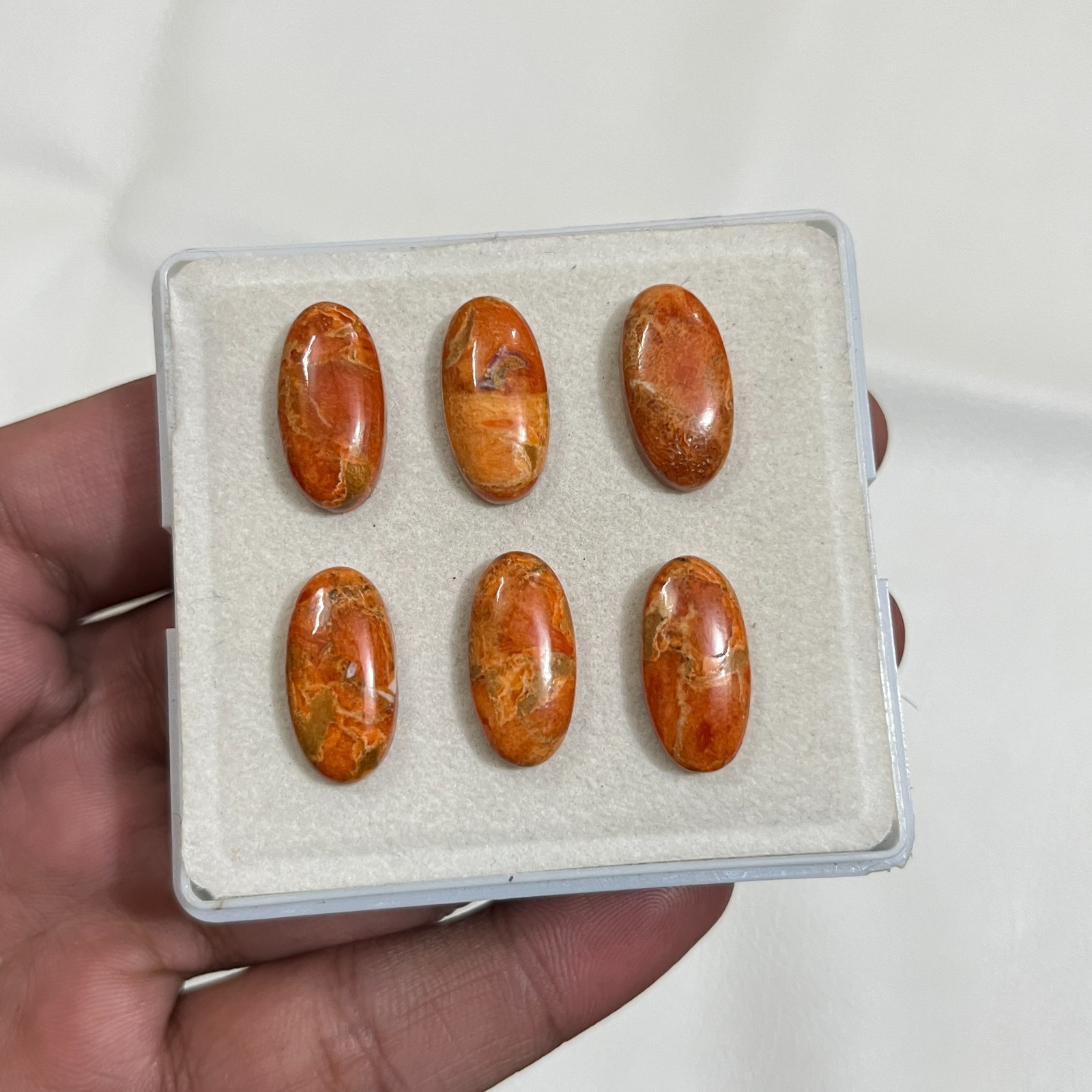 Natural Orange Oyster Turquoise Oval Shape Cabochon Flat Back Calibrated Gems