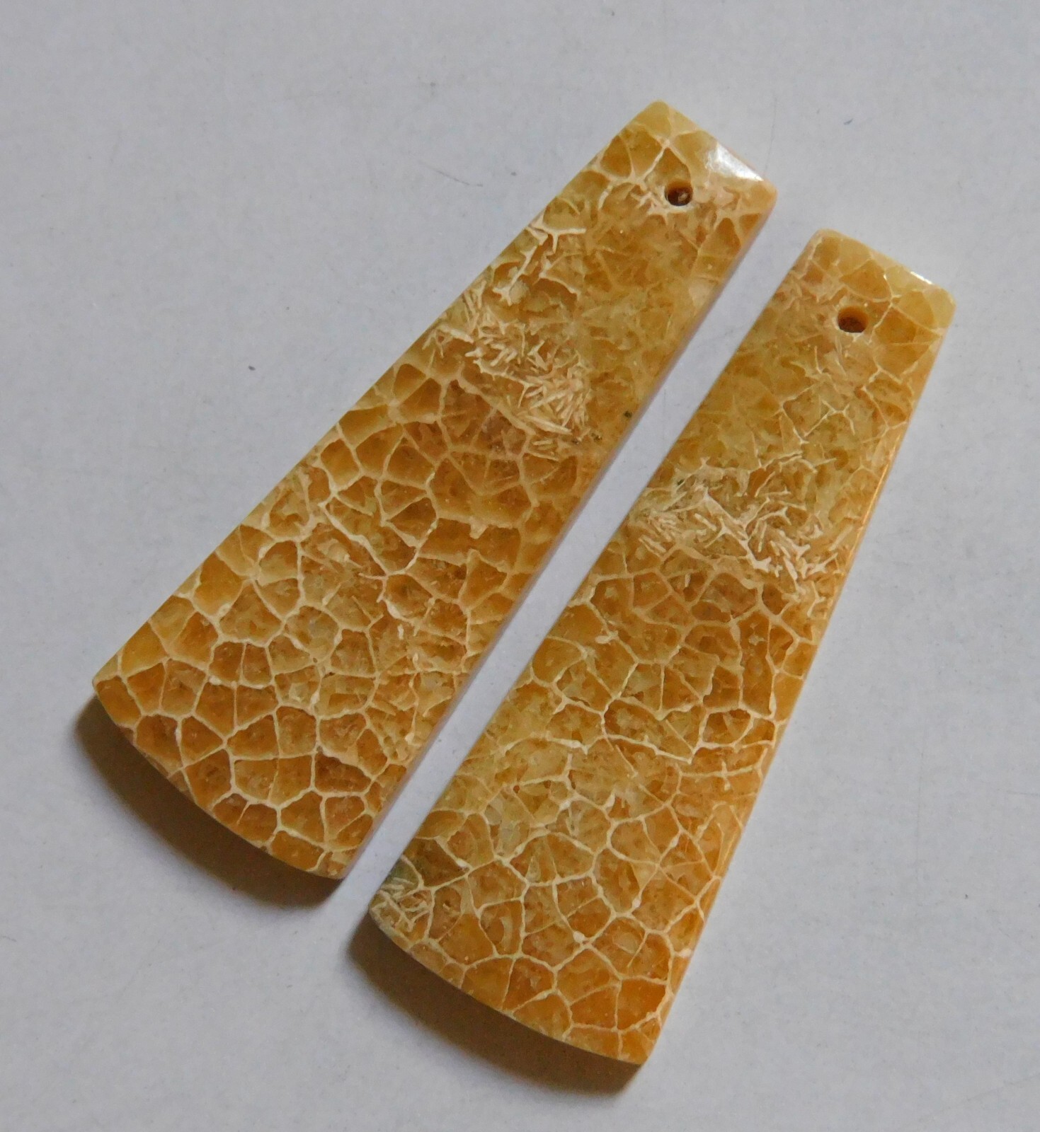 31.75 Cts Natural Fossil Coral Drilled Cabochon Match Pair Gemstone 35.6X13.3MM
