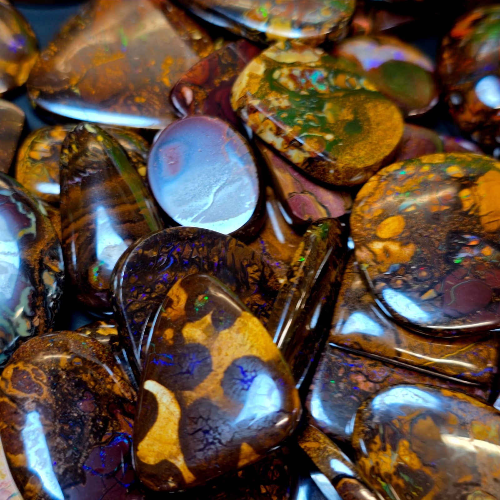 Polished Boulder Opal – Individually Selected Piece – Over 500 available