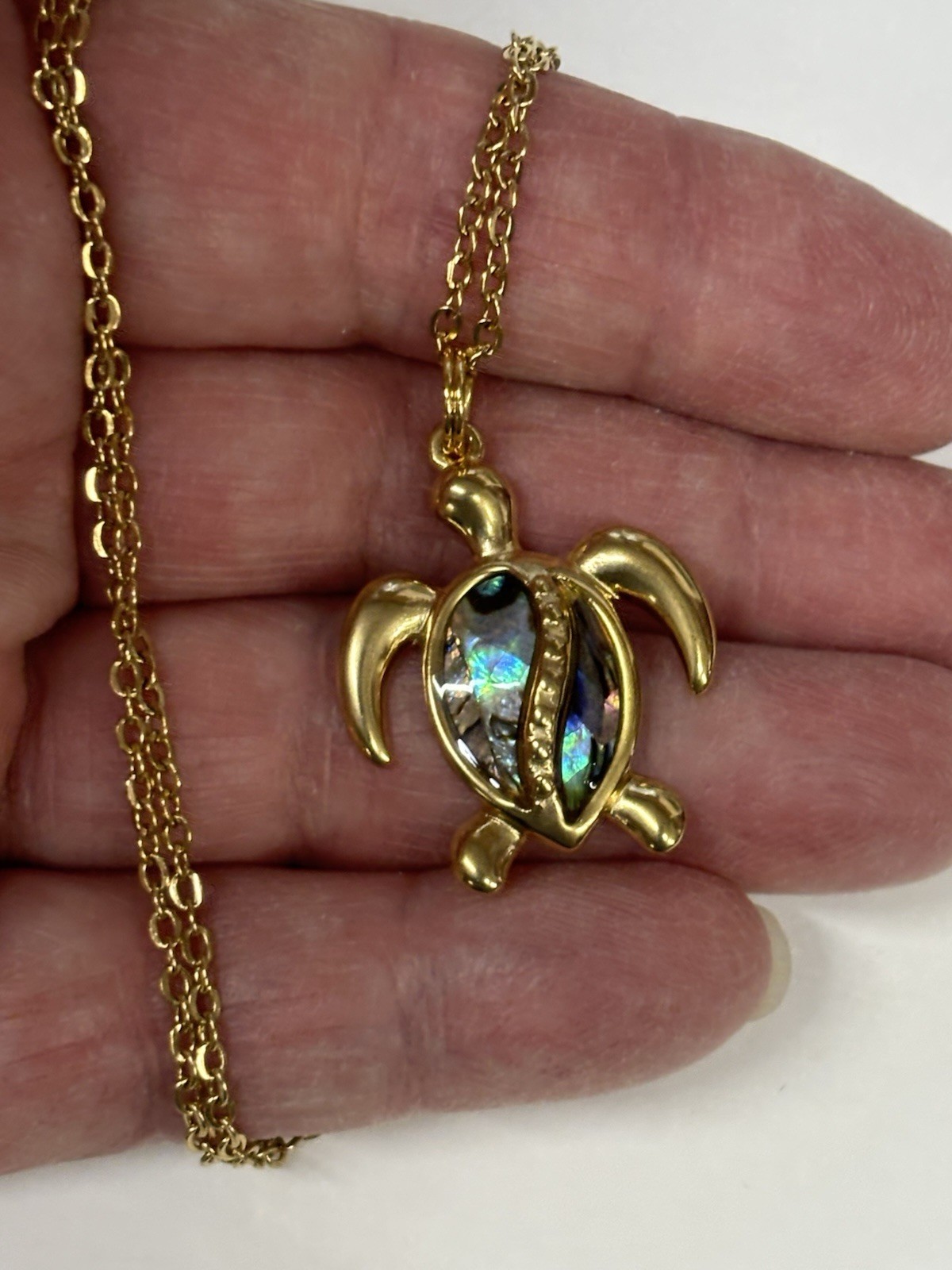 Turtle Gold Abalone Necklace Earrings Set Dangle Hook Coastal Sea Jewelry NEW