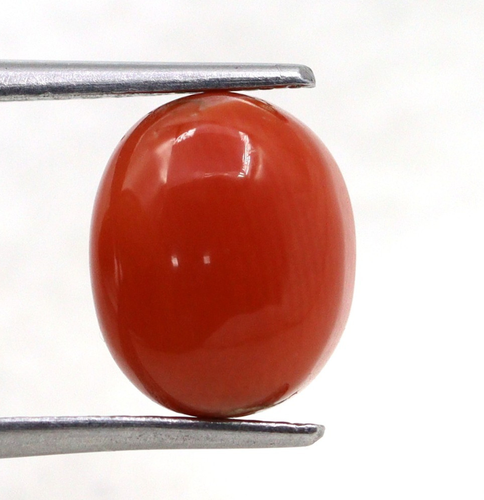 Oval Shape Italy Mined 2.76 Ct Natural Coral Orange Color Loose Gemstone