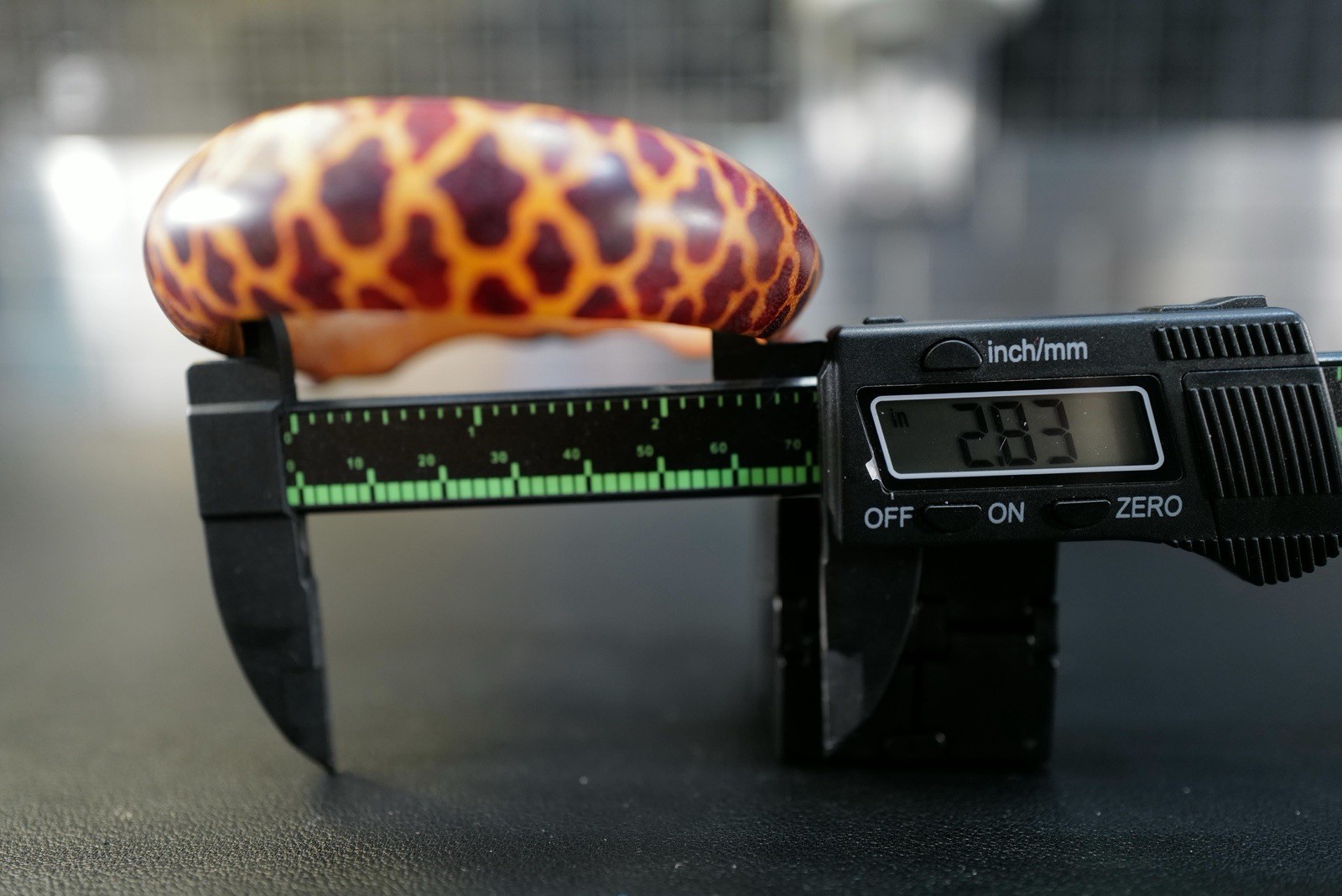 Kenya Carved Giraffe Bangle Bracelet Safari Animal Statement 2.75” Dia African