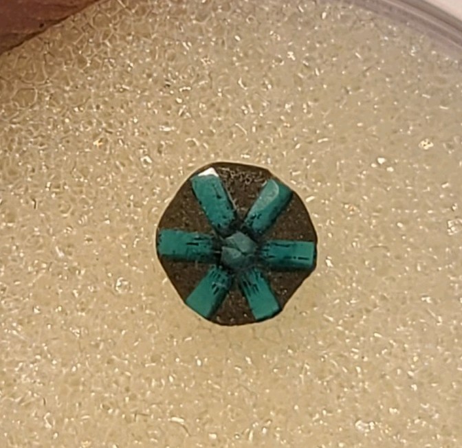 EXTREMELY RARE Tripache Emerald From Colombia 0.26 ct with unique spokes