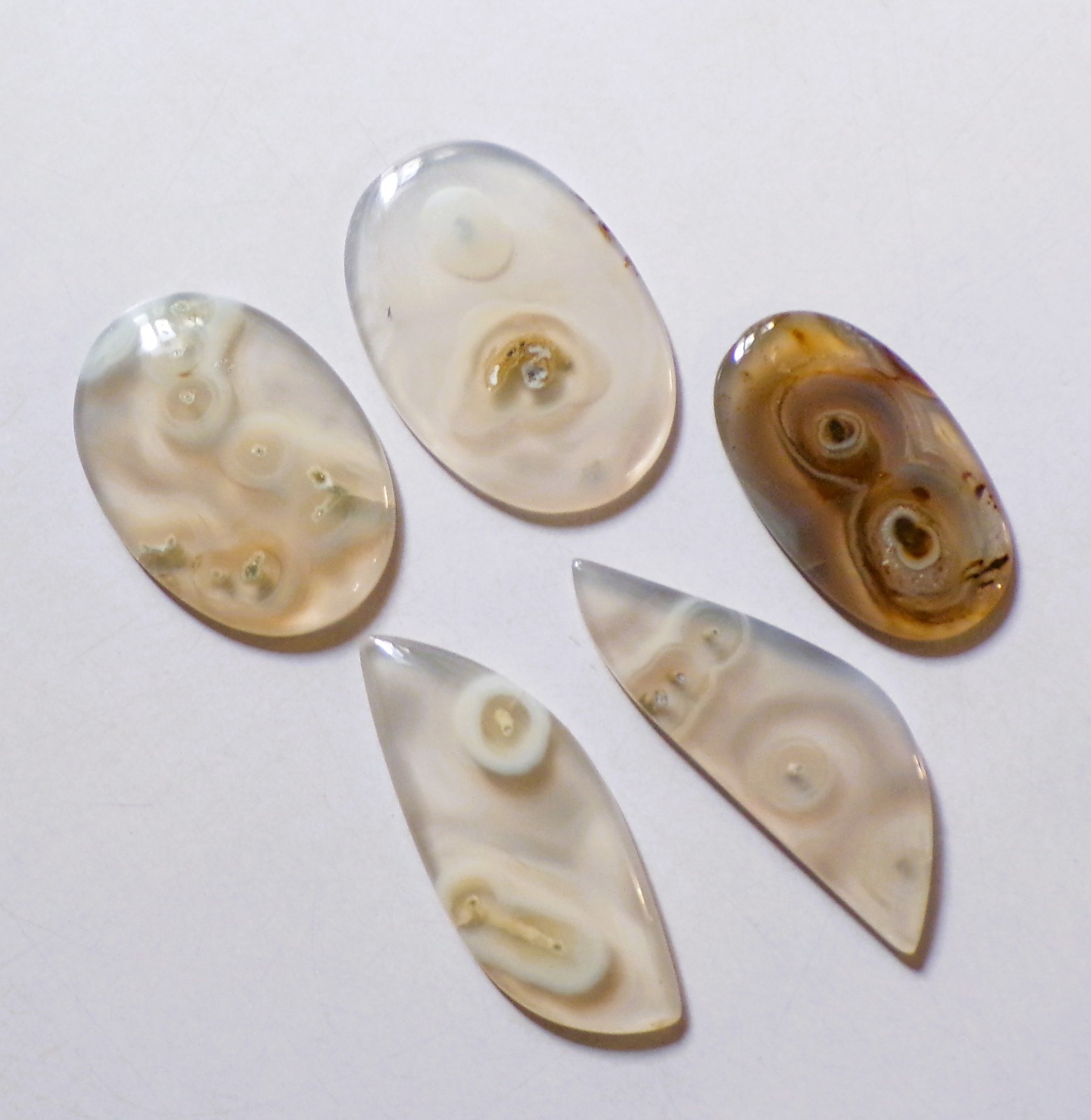 225.70 Cts Natural Orbicular Agate 05 Pcs Lot Loose Cabochon Gemstone 07