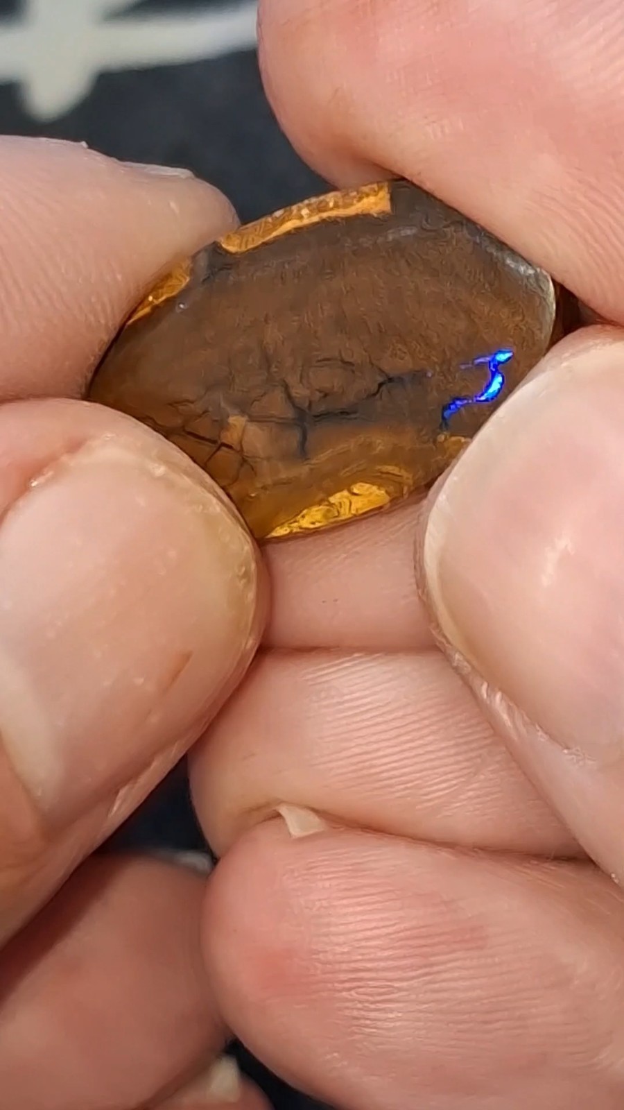 17.9ct Queensland Boulder Opal. Vibrant streaks of bright green & electric blue