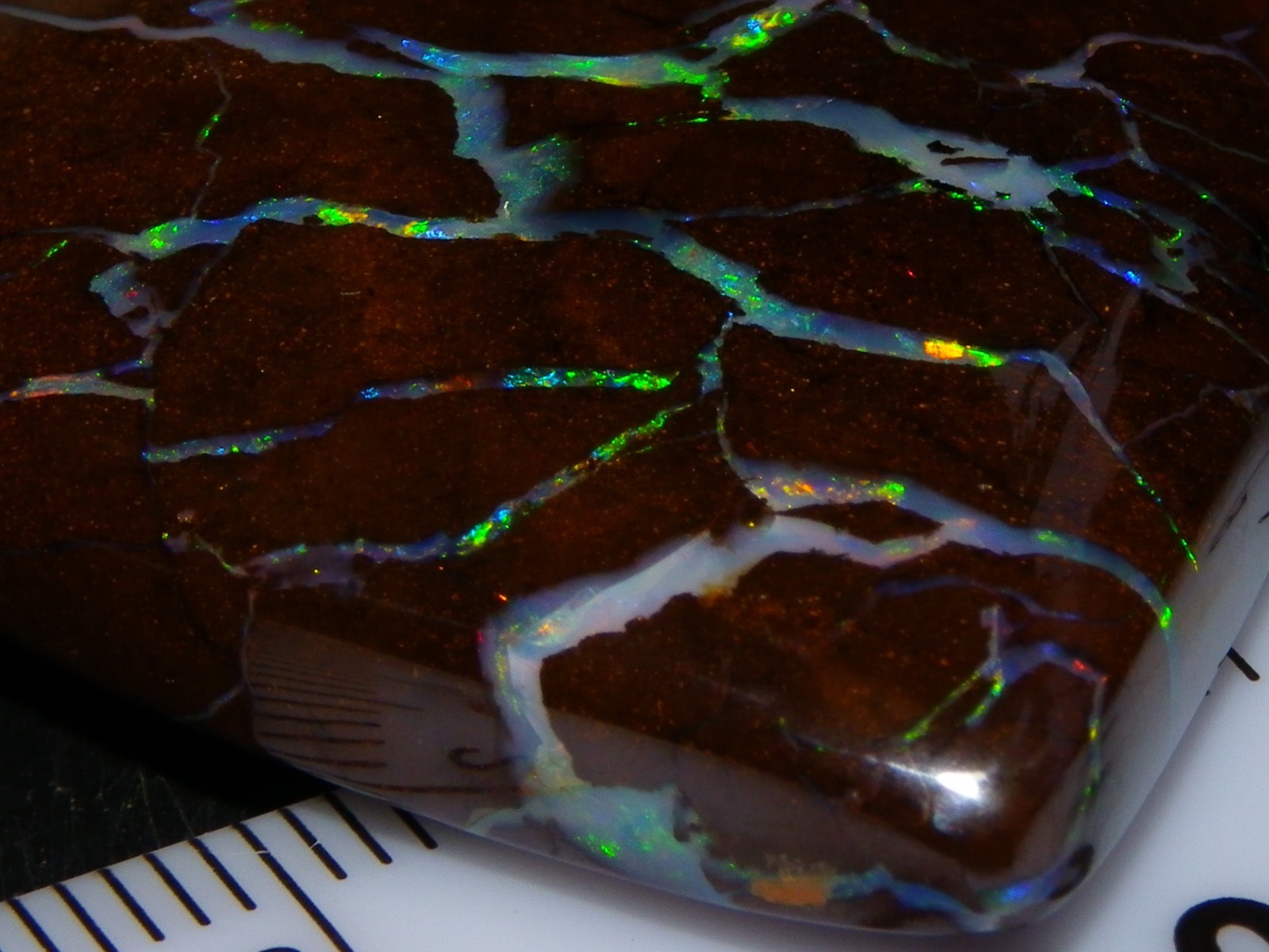 Quality Opalton Boulder Matrix Opal Freeform Cab 128.78cts Multicolour/Veins Qld