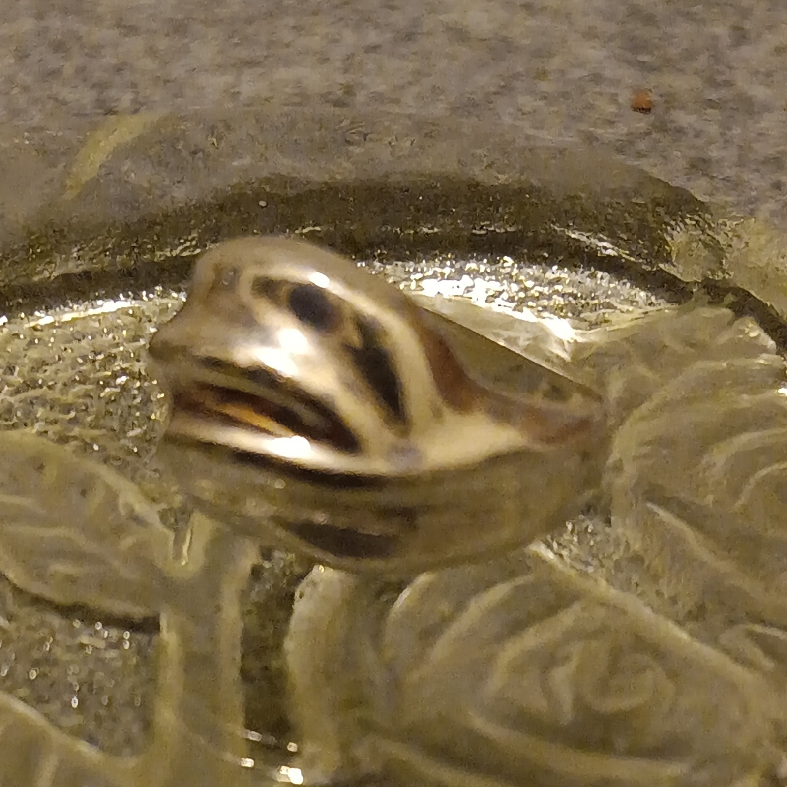 Philippine Signed Sterling Silver Ring Silver Tone Stamped “Philippines” Sz 9