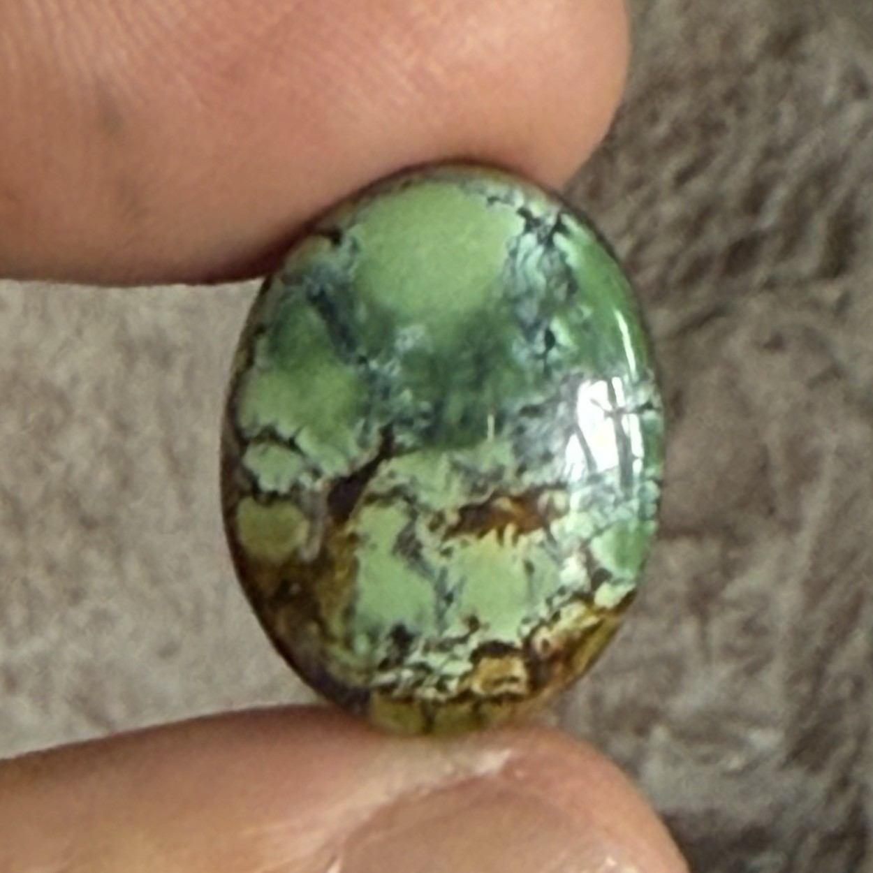 14.10ct 18.7c14.7×6.5mm Green Qingu Mine Turquoise Oval Cabochon Backed Stone