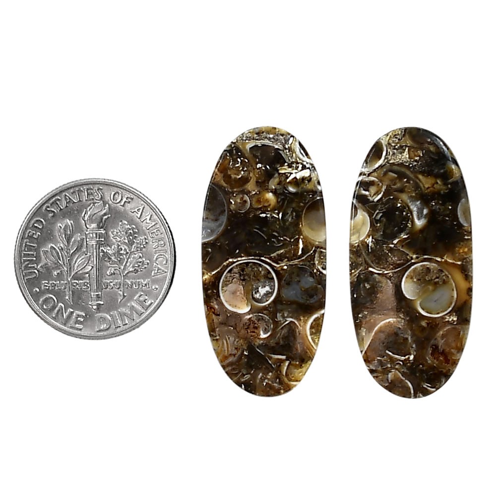 Natural Turtella Jasper Pair 3.8×29.8×4.3 mm Oval Polished Gemstone LS70-04167