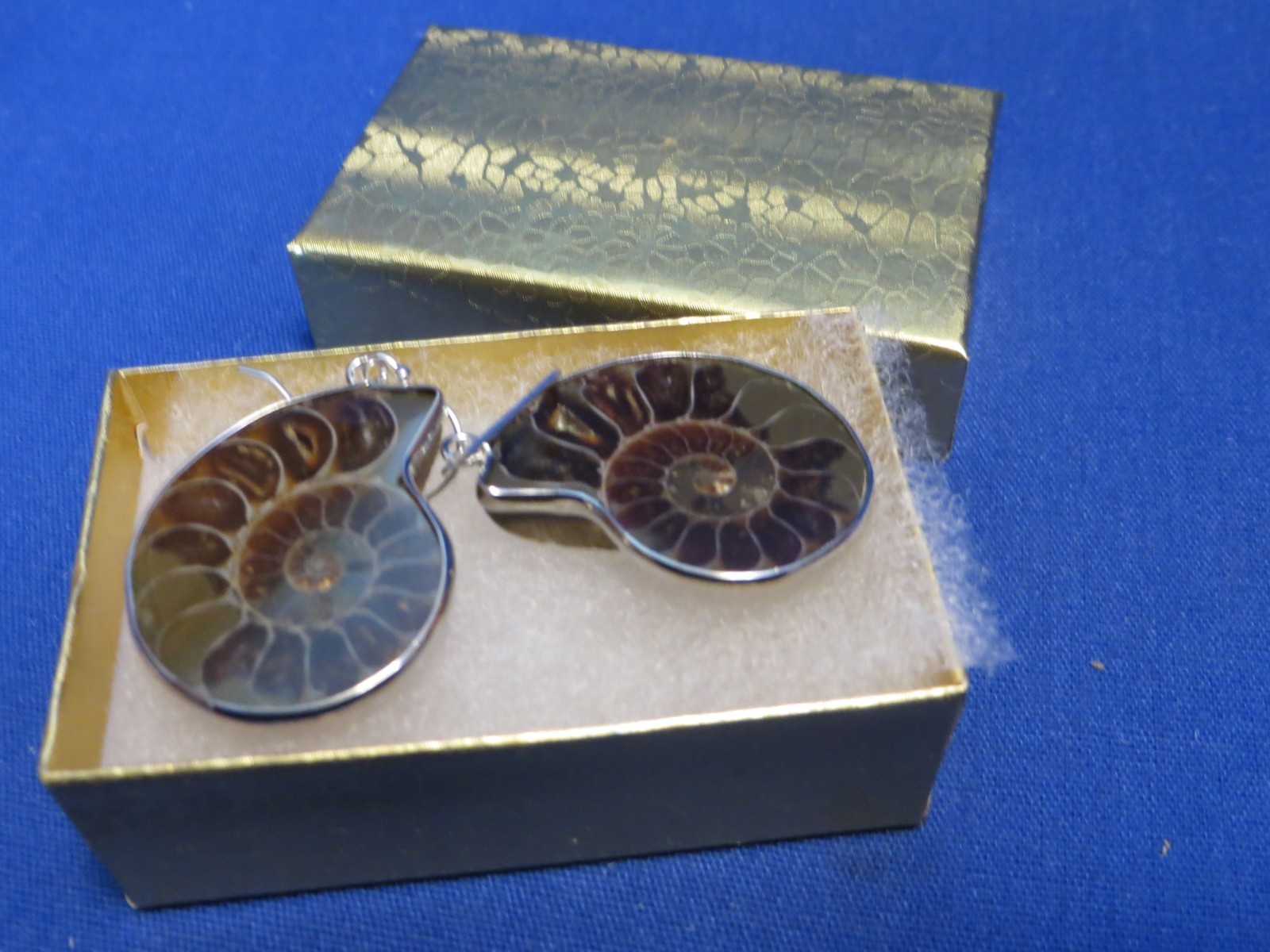 NEW! Natural Cut Polished Madagascar Fossil Ammonite Earrings Sterling Silver