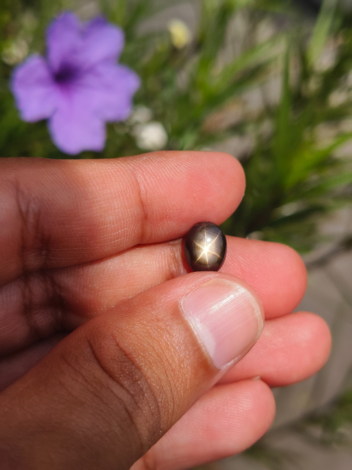 3.48 Cts A BEAUTIFUL NO HEAT BLACK STAR SAPPHIRE OF PERFECT 6 RAYS STAR ✨