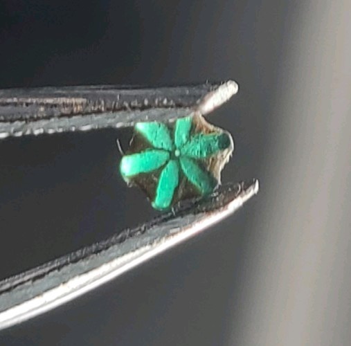 EXTREMELY RARE Tripache Emerald From Colombia 0.10 ct 3.65 x 3.10 x 1.28 mm