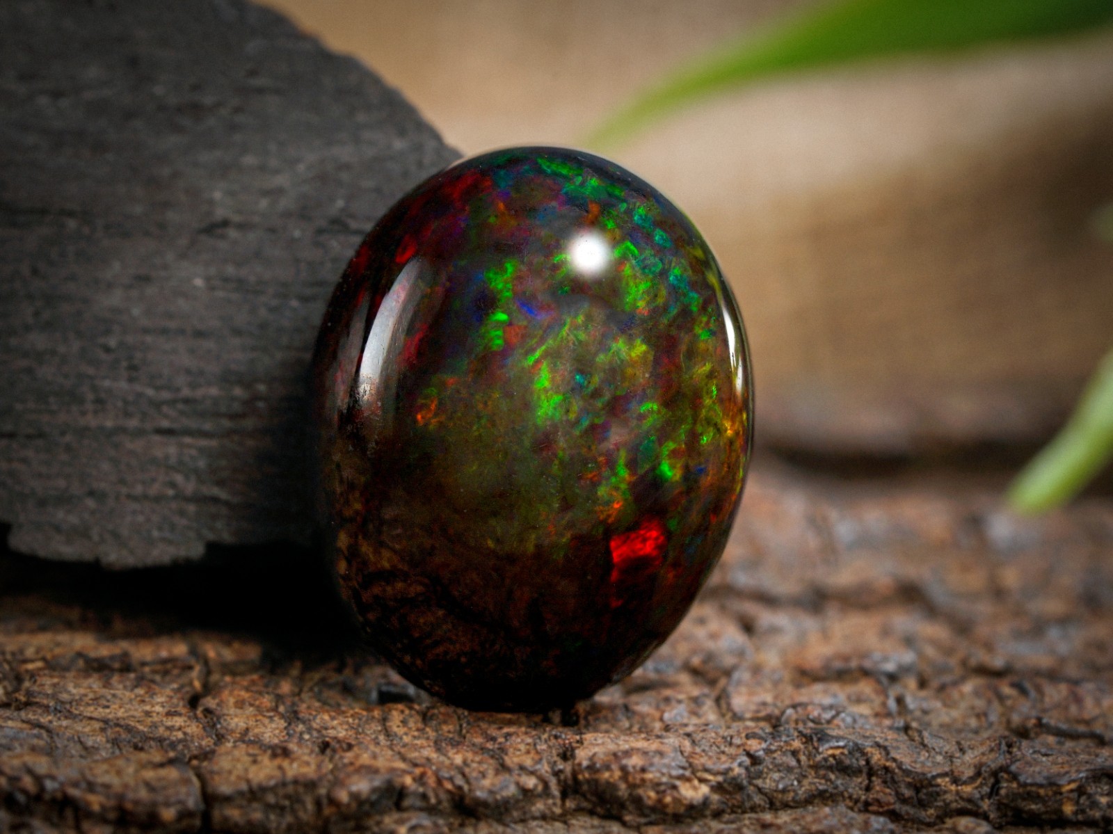 6.90 Carat Ethiopian Black Opal Cabochon 15x11x7 MM Oval Shape Welo Fire Opal