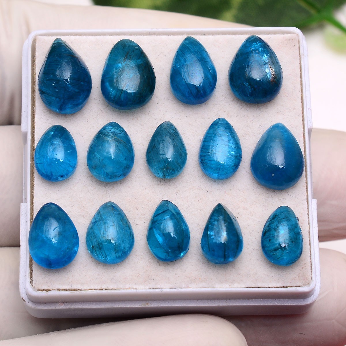 Set 14 Pcs Natural Apatite Untreated 8mm-12mm Pear Stunning Loose Gemstones Lot