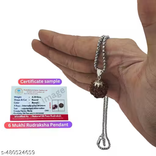 RUDRAKSHA PENDANT NECKLACE 6 Mukhi Nepali Rudraksha Six Face Rudraksh Pendant