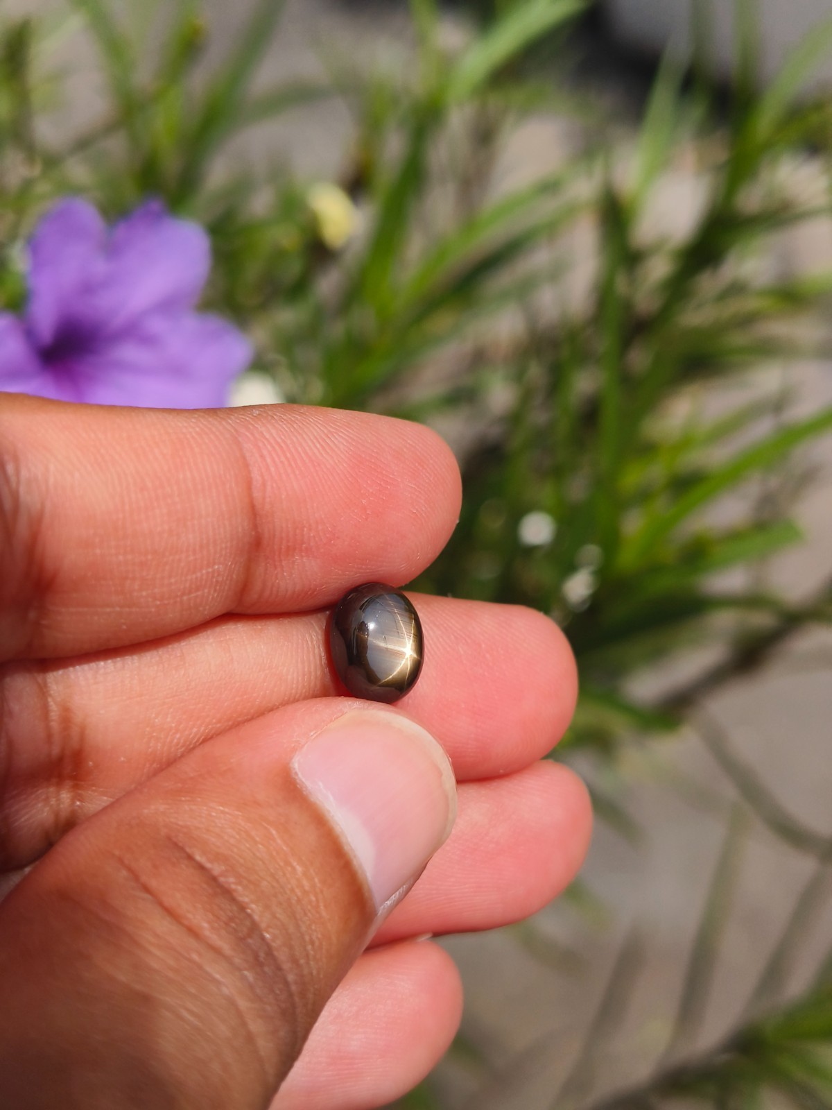 3.48 Cts A BEAUTIFUL NO HEAT BLACK STAR SAPPHIRE OF PERFECT 6 RAYS STAR ✨