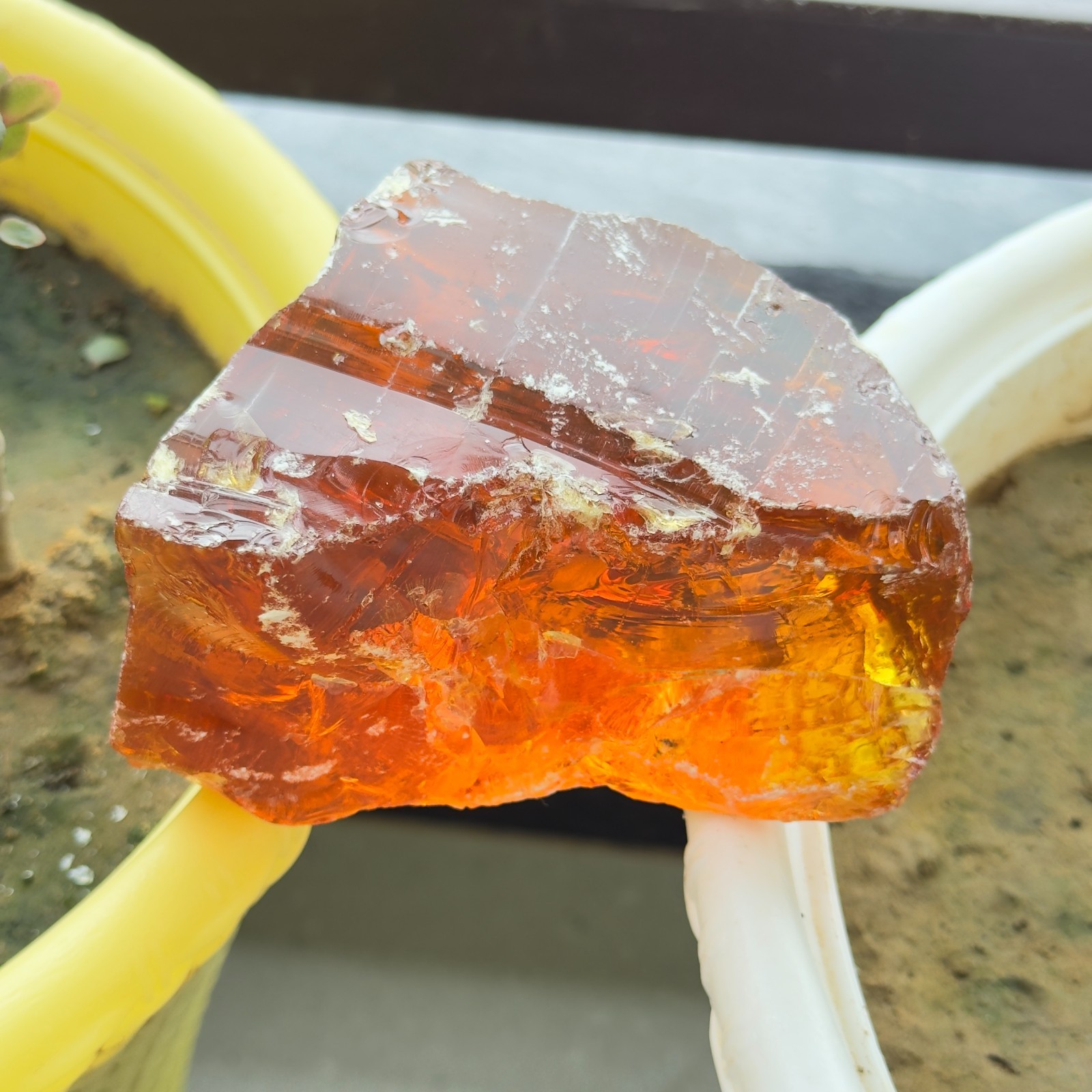 Certified 1620 Ct Natural Amber Rough – Translucent Raw Gemstone from Lithuania