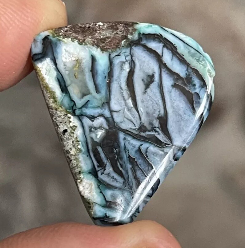 26.5×21.6x5mm Rare Agatized Wood Colorful Chrysocolla Cabochon Picture Stone