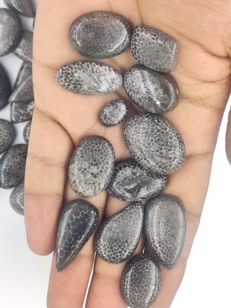 Natural Black Fossil Gemstone Cabochon, Best For Unique Jewelry Creation 71302