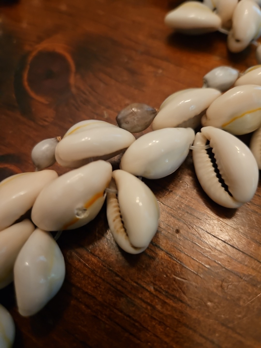 Natural SeaShell Necklace Beach Nautical 24″ ~ Preowned With A Couple Defects