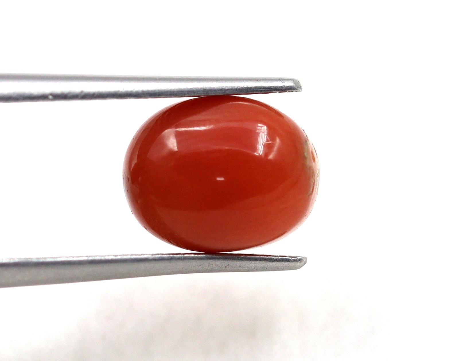Oval Shape Italy Mined 2.76 Ct Natural Coral Orange Color Loose Gemstone