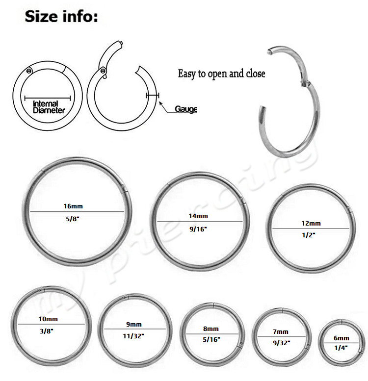 2x 20G 18G 16g 14G Hinged Segment Ring Surgical Steel Ear Cartilage Septum Ring