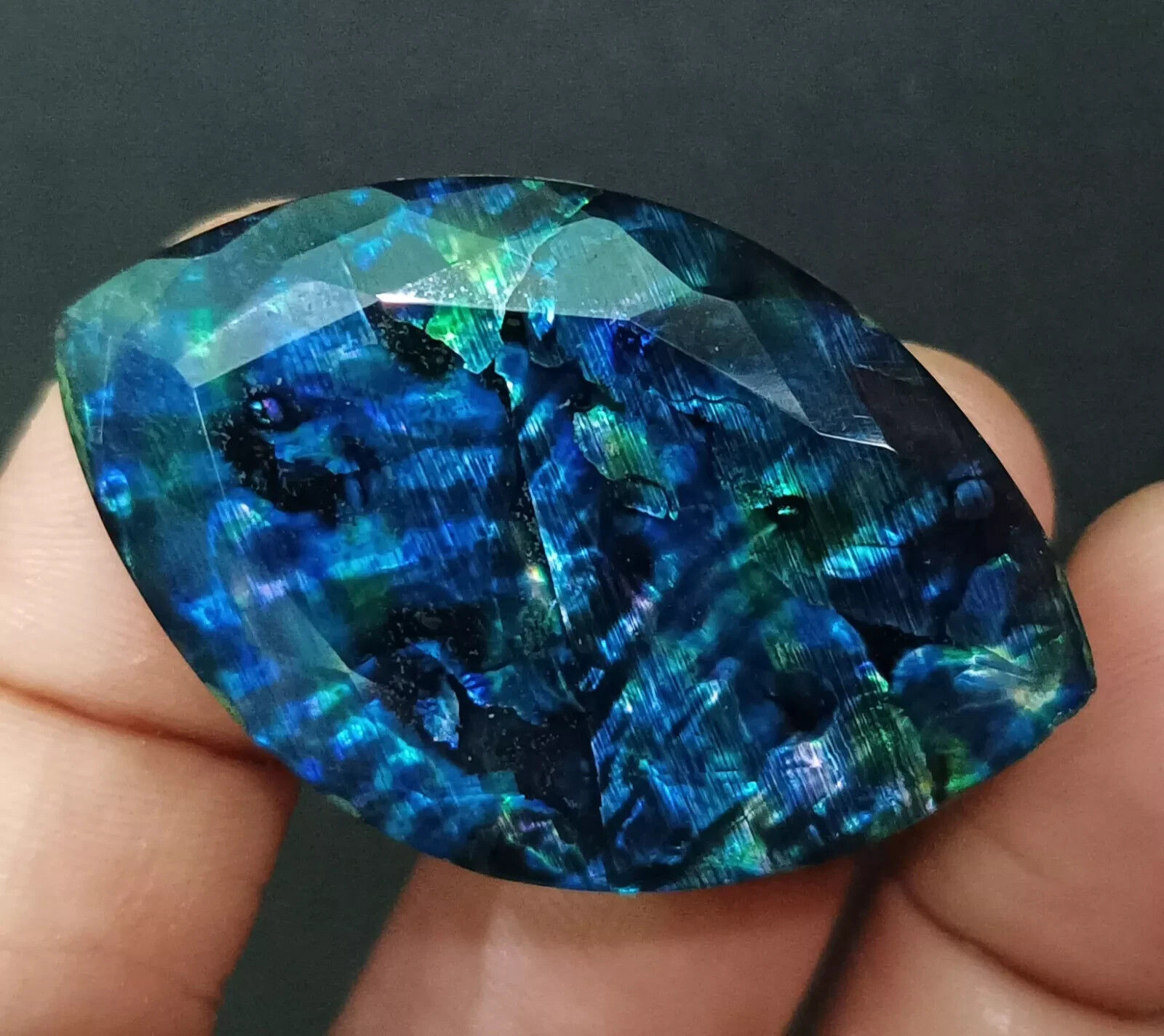 48.45 Ct Natural Ammolite Opal-Like Organic Marquise Doublet Loose Rare GEMSTONE