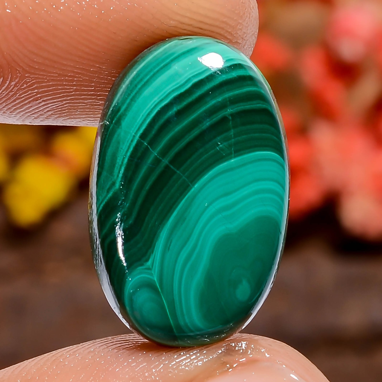 Natural Malachite Oval 20Ct Loose Gemstone 19X12X4mm Crystal Healing Green