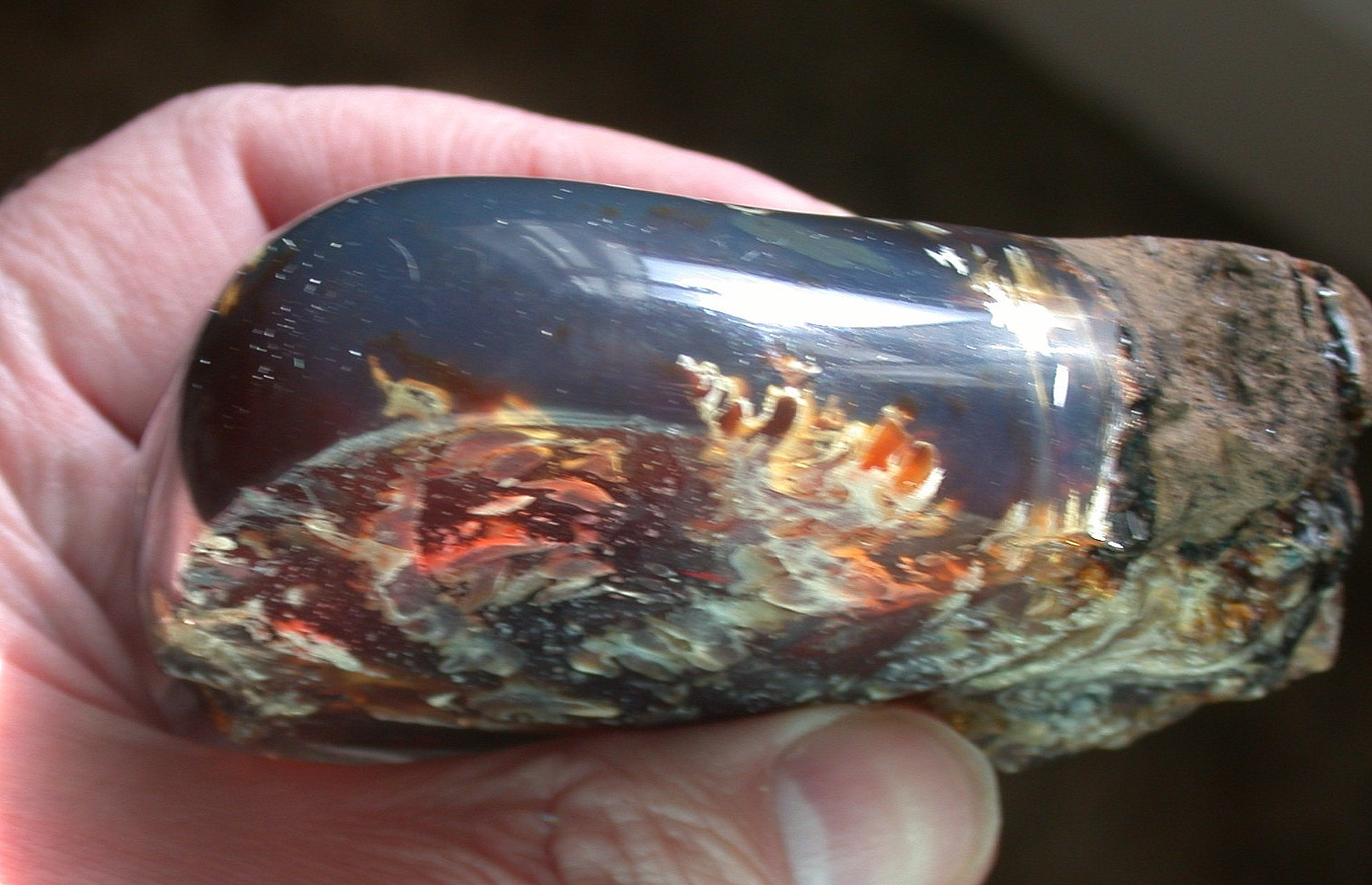 Beautiful BLUE Multicolor AMBER Fossil Gemstone LARGE 132 gram Piece
