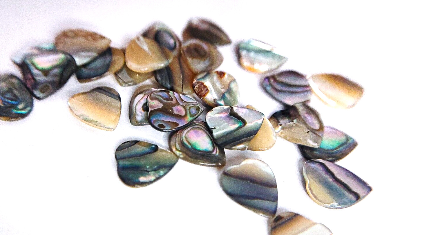 18 Abalone Cabochon HEART Shells (10×9 mm) Seashell Iridescent Paua Gemstone