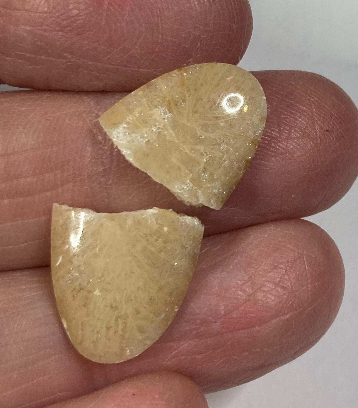 4+ Unlabeled Cabochons approx. 24 X 16 X 3 mm CC-87