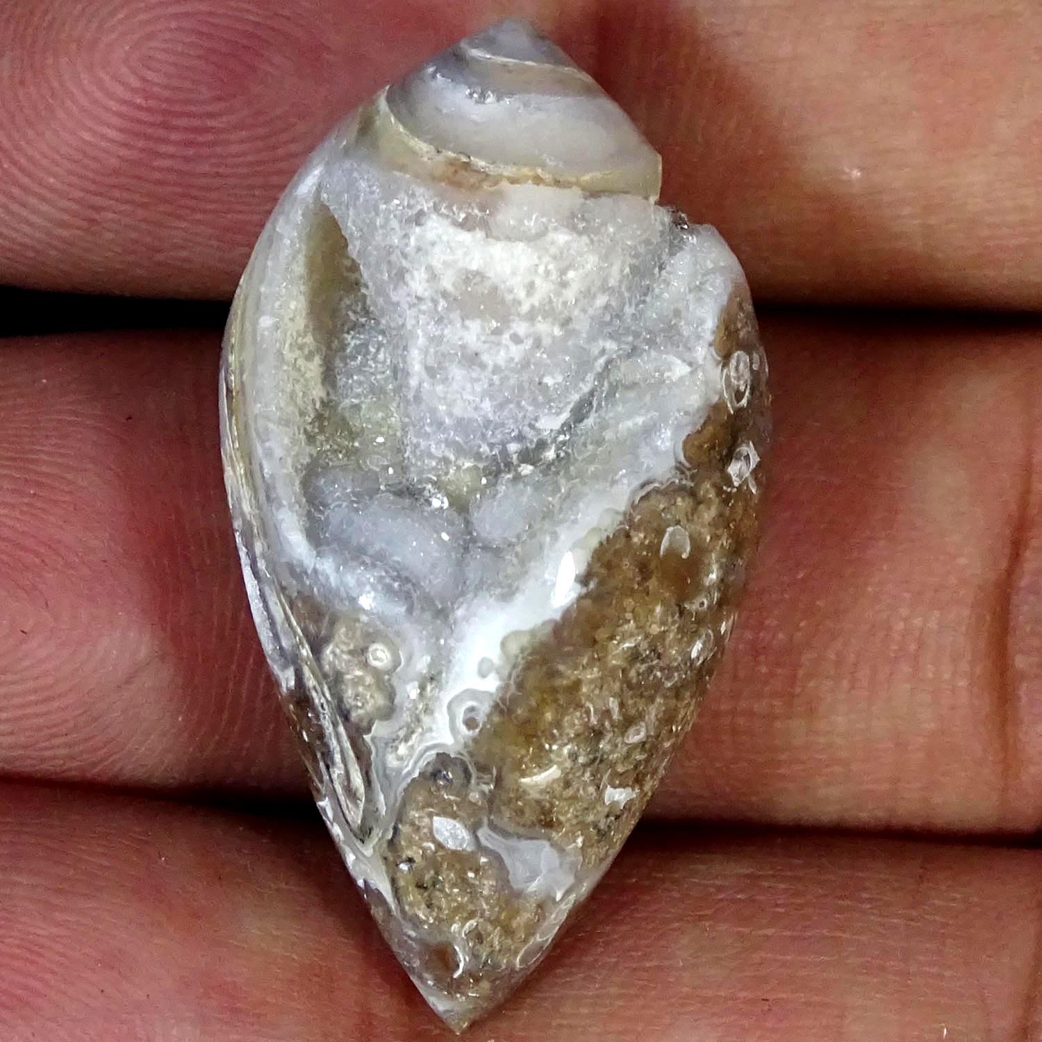 47.40Cts. Natural Fossil Snail Druzy Cabochon loose Gemstone 19X34X13MM