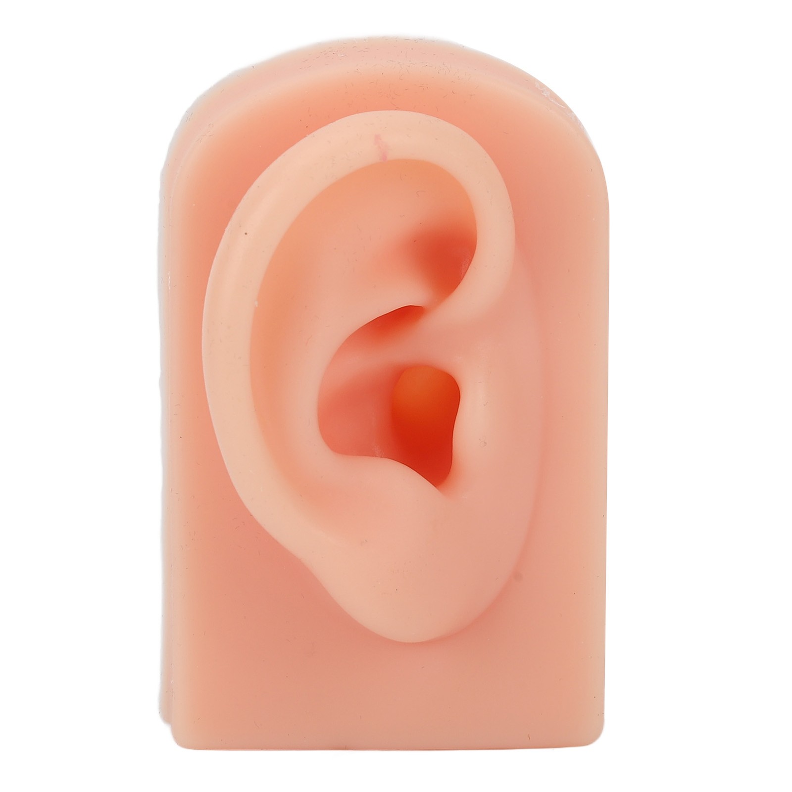Soft Silicone Ear Model Reusable For Piercing Training (Light Complexion)