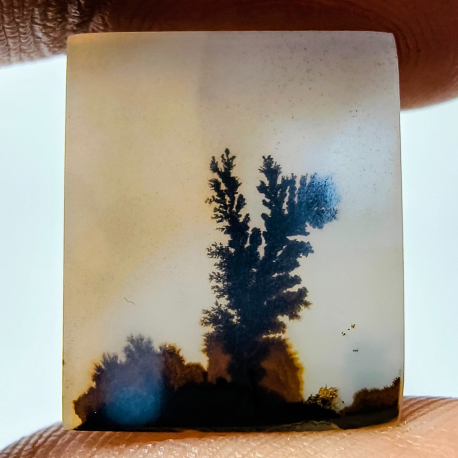 6.50 Cts Natural Shazar Dendritic Agate Cabochon Gemstone 17×14.6×2.2 MM