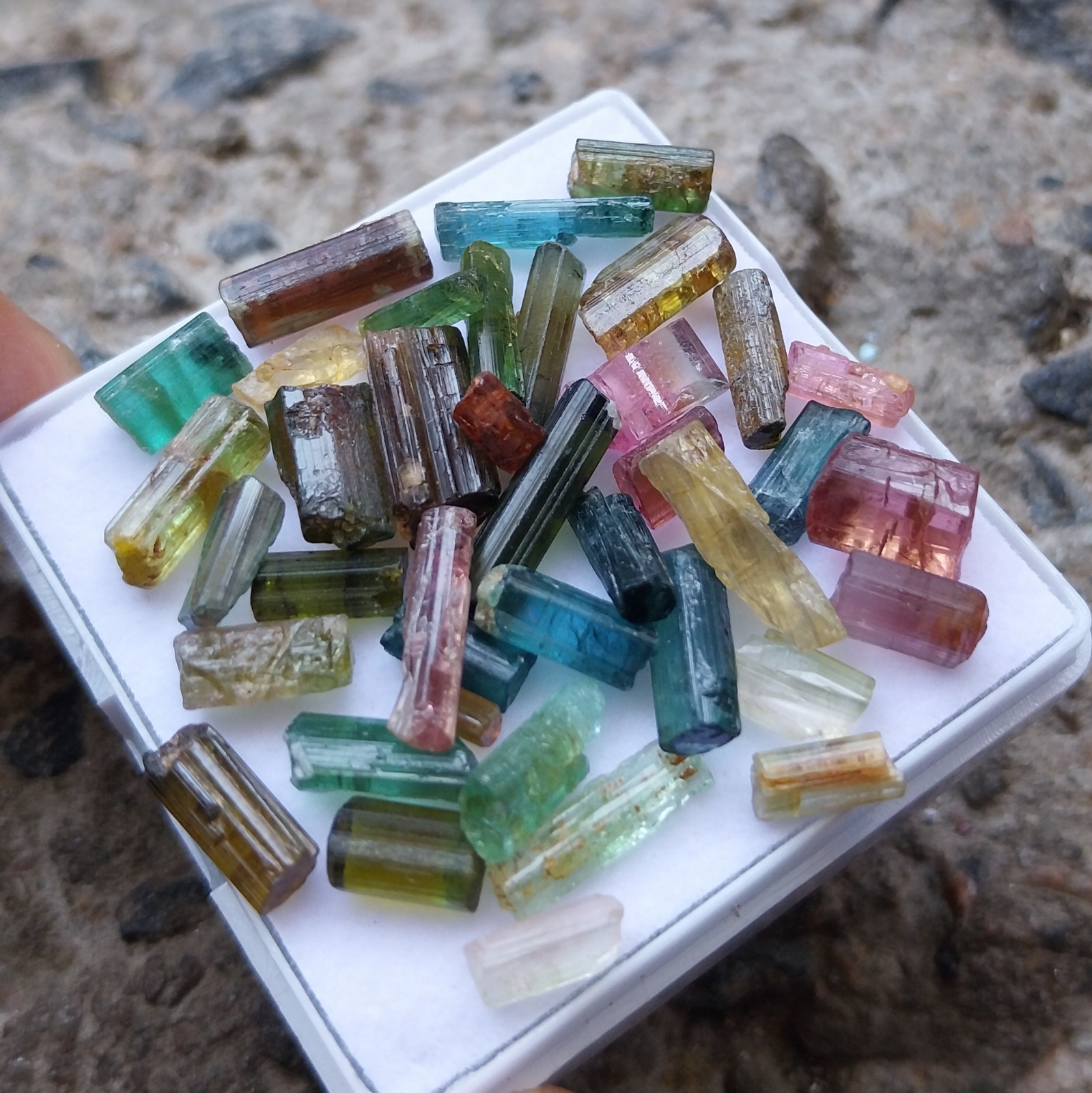 40 Carat 4 to 13 MM Natural Multi Color Tourmaline Rough Pencil 39 Piece Lot