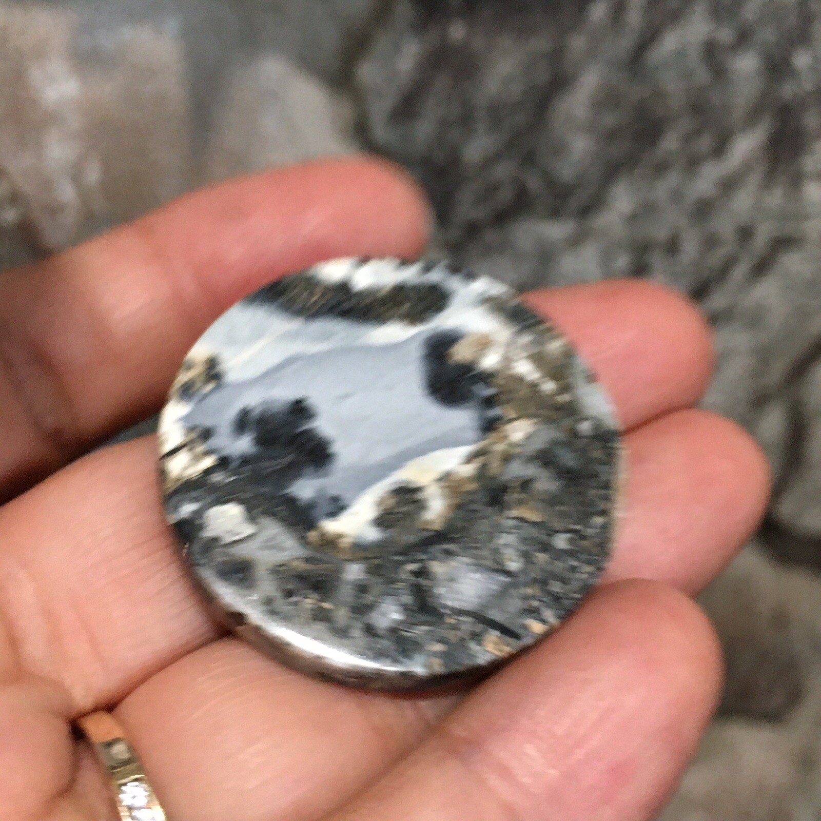 35×5.5mm Collectors’ Fine Maligano Jasper Round Cabochon Picture Stone