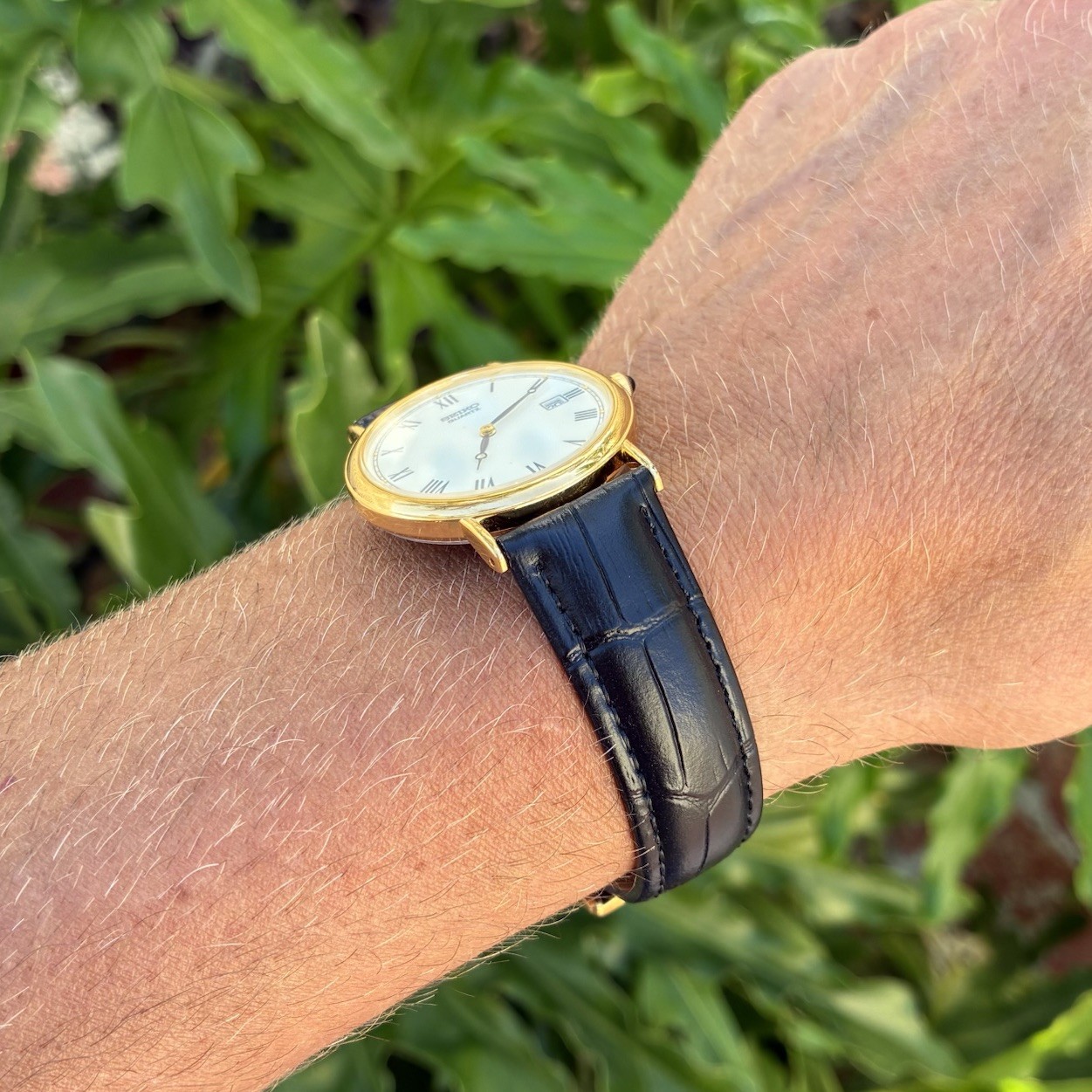 BEAUTIFUL Seiko Men’s Classic Dress Watch