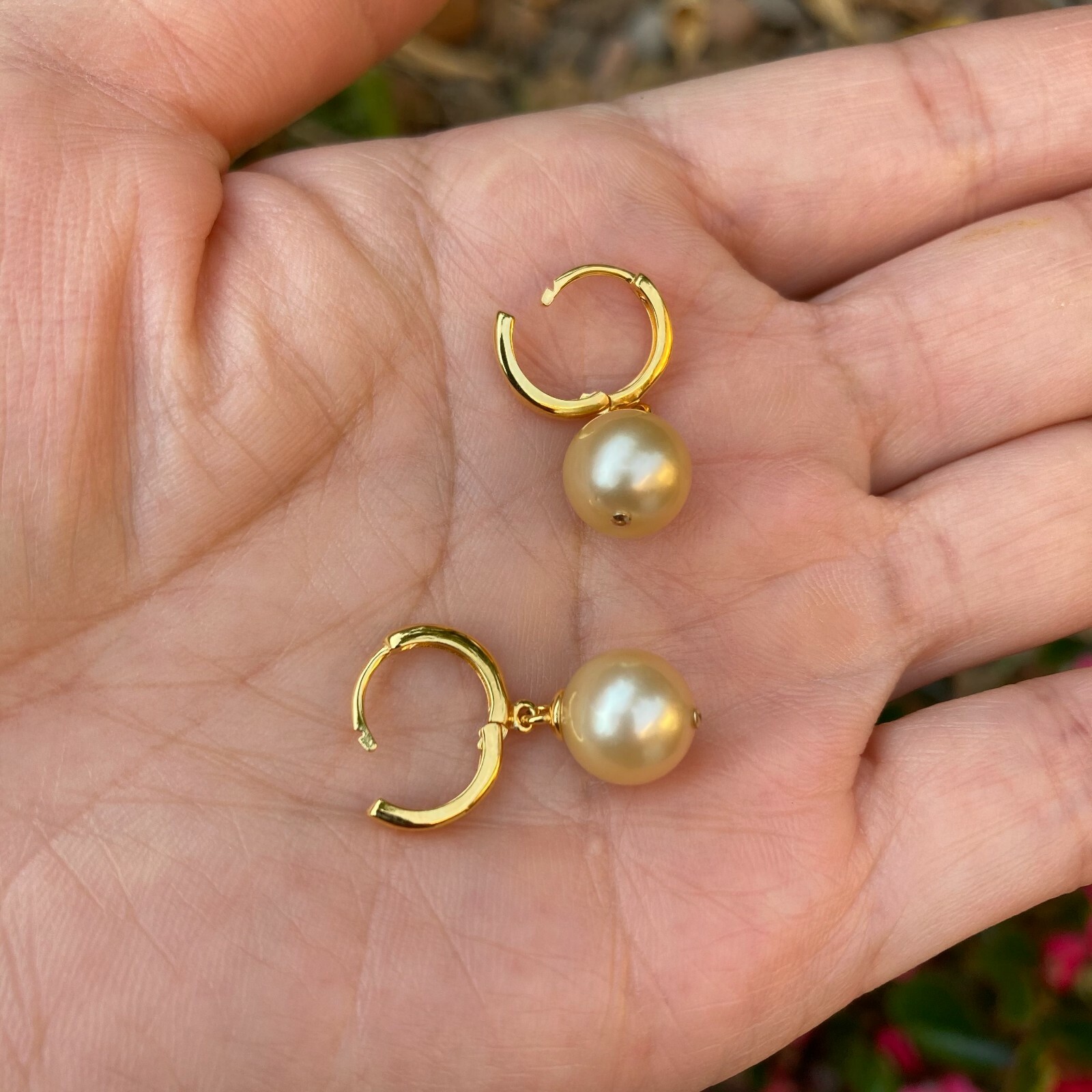 High luster 9~9.5mm Australia seawater light gold Pearl silver S925 Earring #243