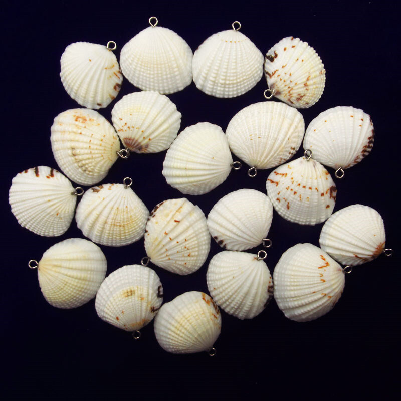 20Pcs 26x25x5/32x30x5mm Natural Seashells Scallop Shells Pendant Bead L0119916