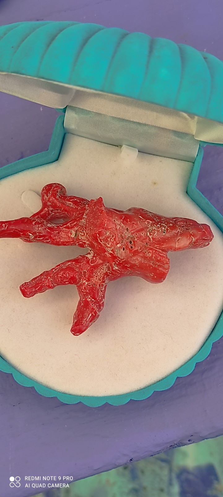 Natural Red Coral of Sardinia