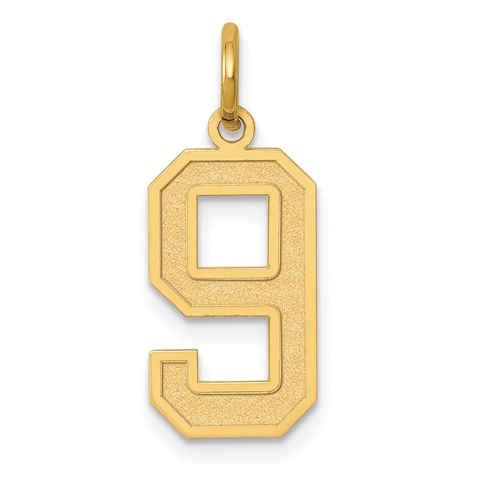 10k Yellow Gold Medium Satin Number 9 Charm Pendant 0.27g